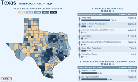 2010 Texas Census Snapshot